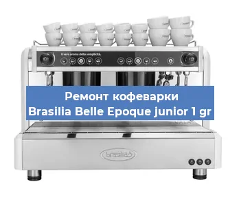 Чистка кофемашины Brasilia Belle Epoque junior 1 gr от кофейных масел в Красноярске